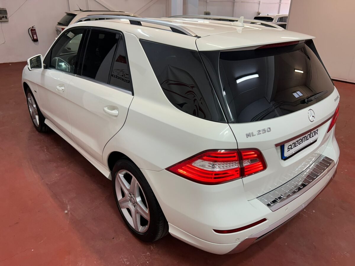 MERCEDES-BENZ CLASE M 250CDI BLUETEC 4 MATIC