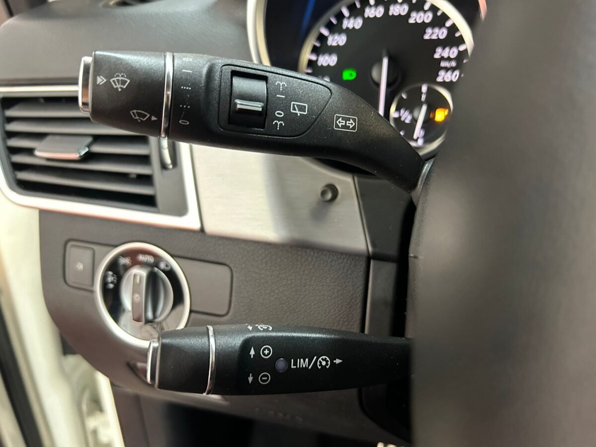 MERCEDES-BENZ CLASE M 250CDI BLUETEC 4 MATIC